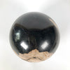 Wonderful Petrified Wood Sphere on a Custom Stand PS 535