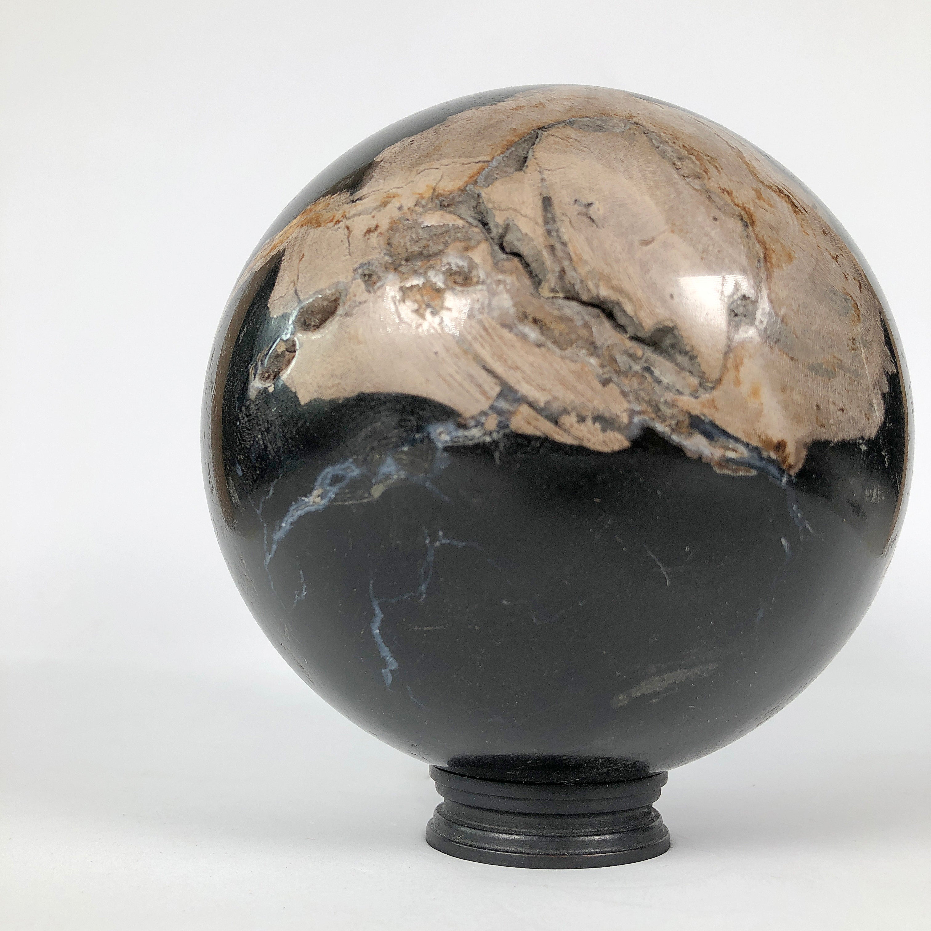 Wonderful Petrified Wood Sphere on a Custom Stand PS 535