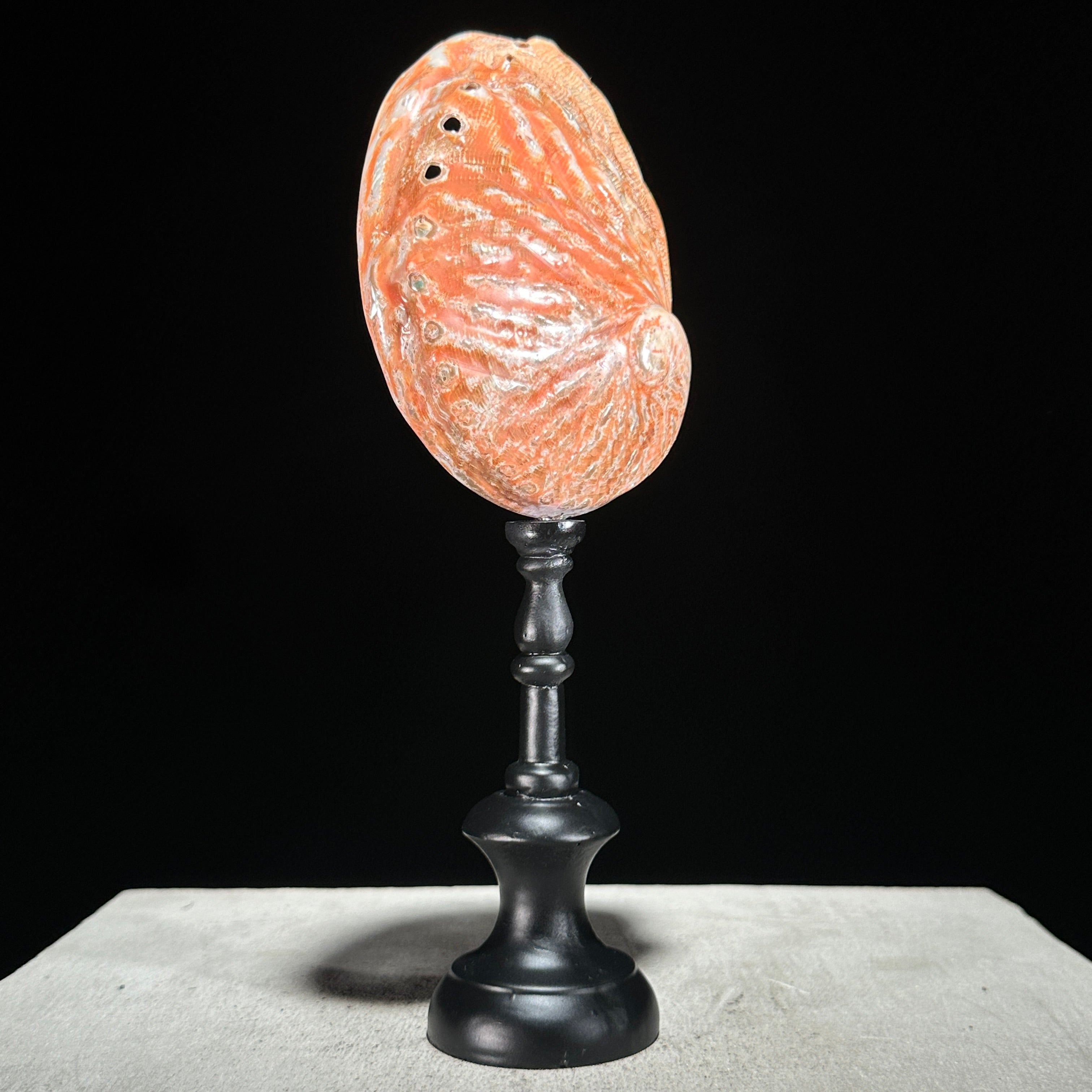 Abalone Shell on Stand Red-G2/342