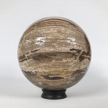 Wonderful Petrified Wood Sphere on a Custom Stand PS 534