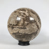 Wonderful Petrified Wood Sphere on a Custom Stand PS 534