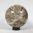 Wonderful Petrified Wood Sphere on a Custom Stand PS 534