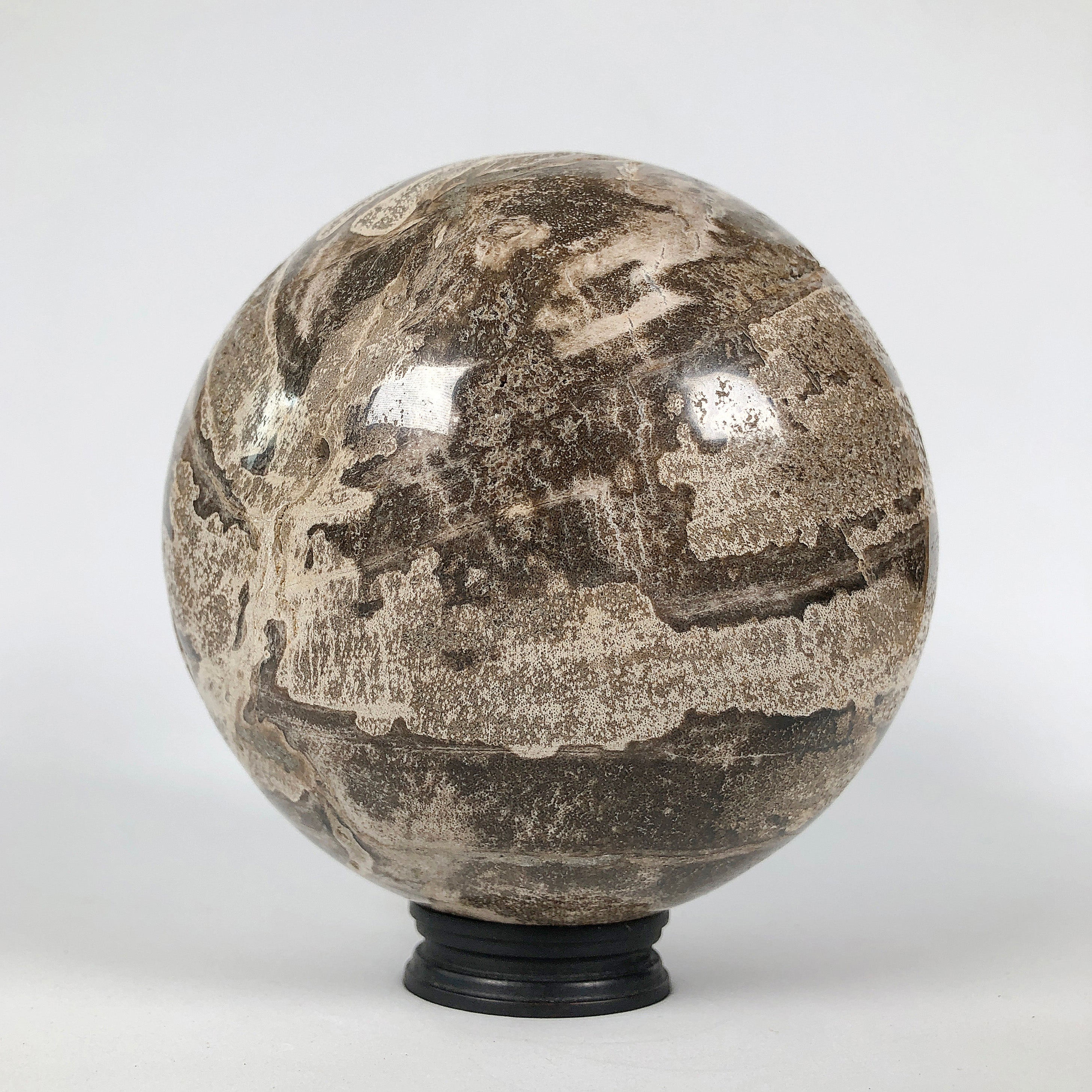 Wonderful Petrified Wood Sphere on a Custom Stand PS 534