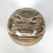 Wonderful Petrified Wood Sphere on a Custom Stand PS 534