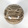 Wonderful Petrified Wood Sphere on a Custom Stand PS 534