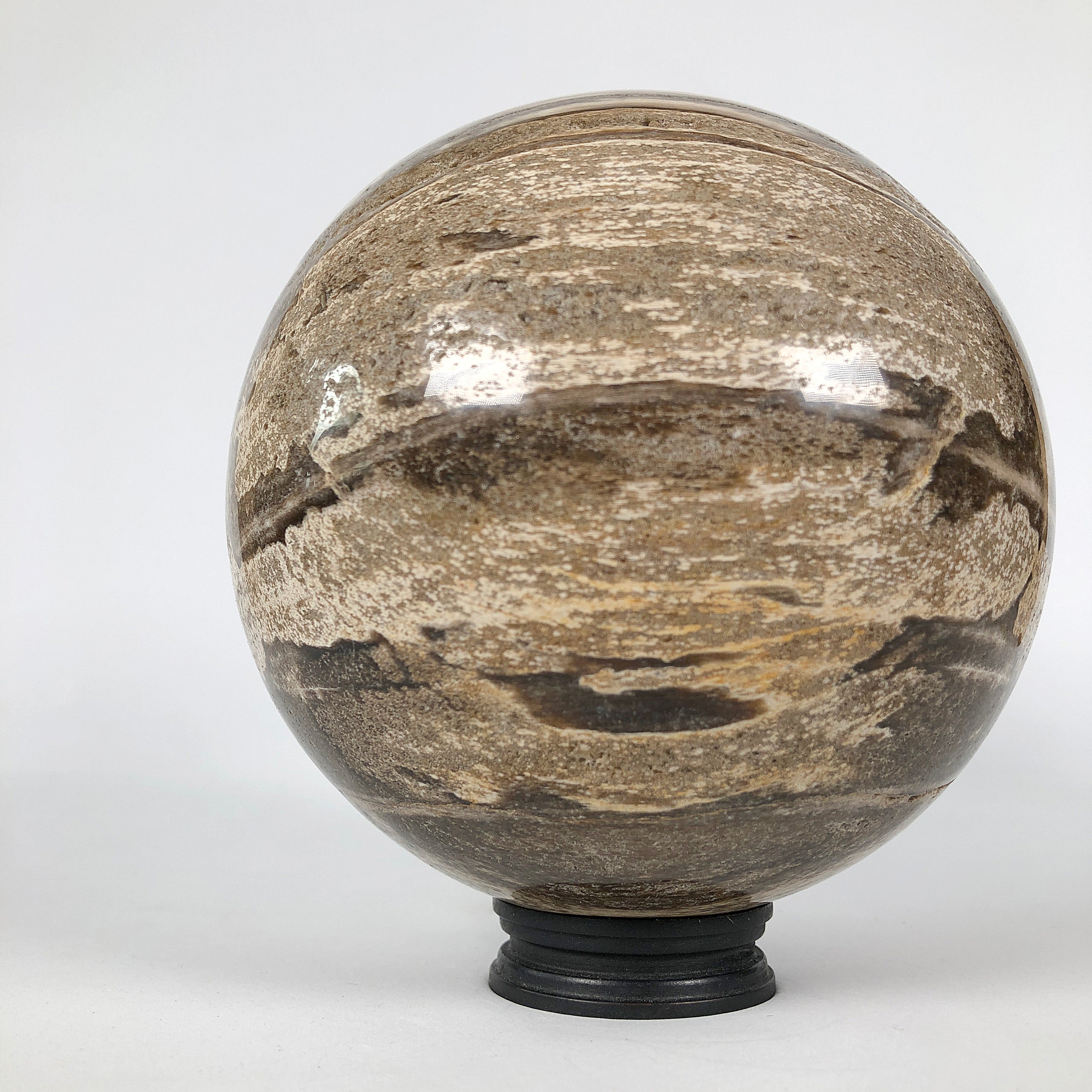 Wonderful Petrified Wood Sphere on a Custom Stand PS 534