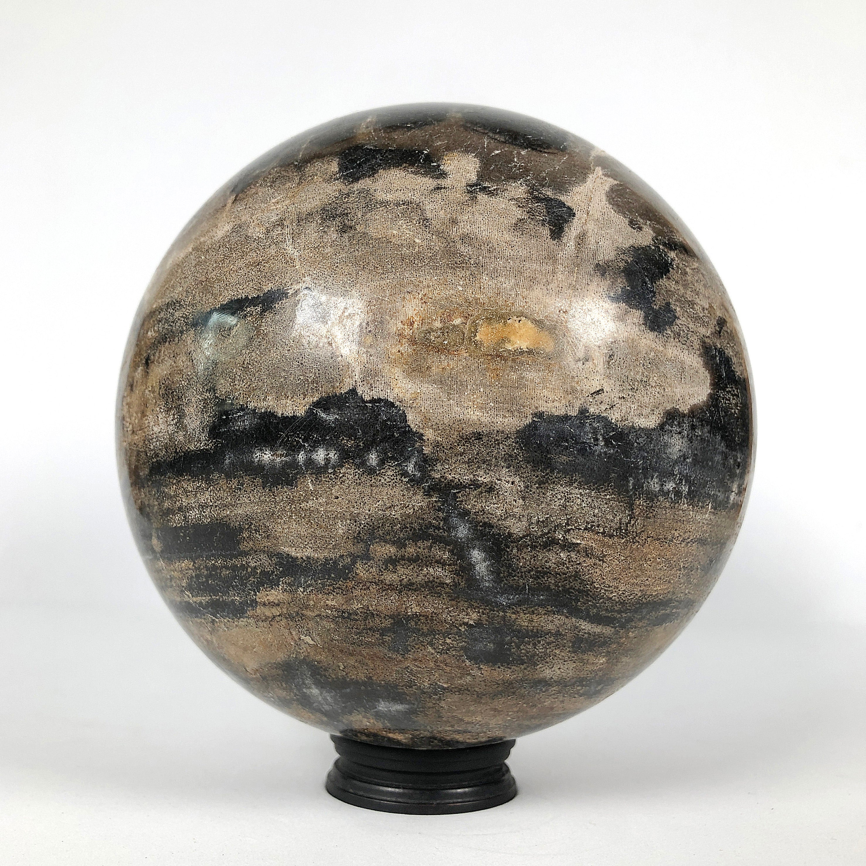 Wonderful Petrified Wood Sphere on a Custom Stand PS 540