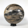 Wonderful Petrified Wood Sphere on a Custom Stand PS 540