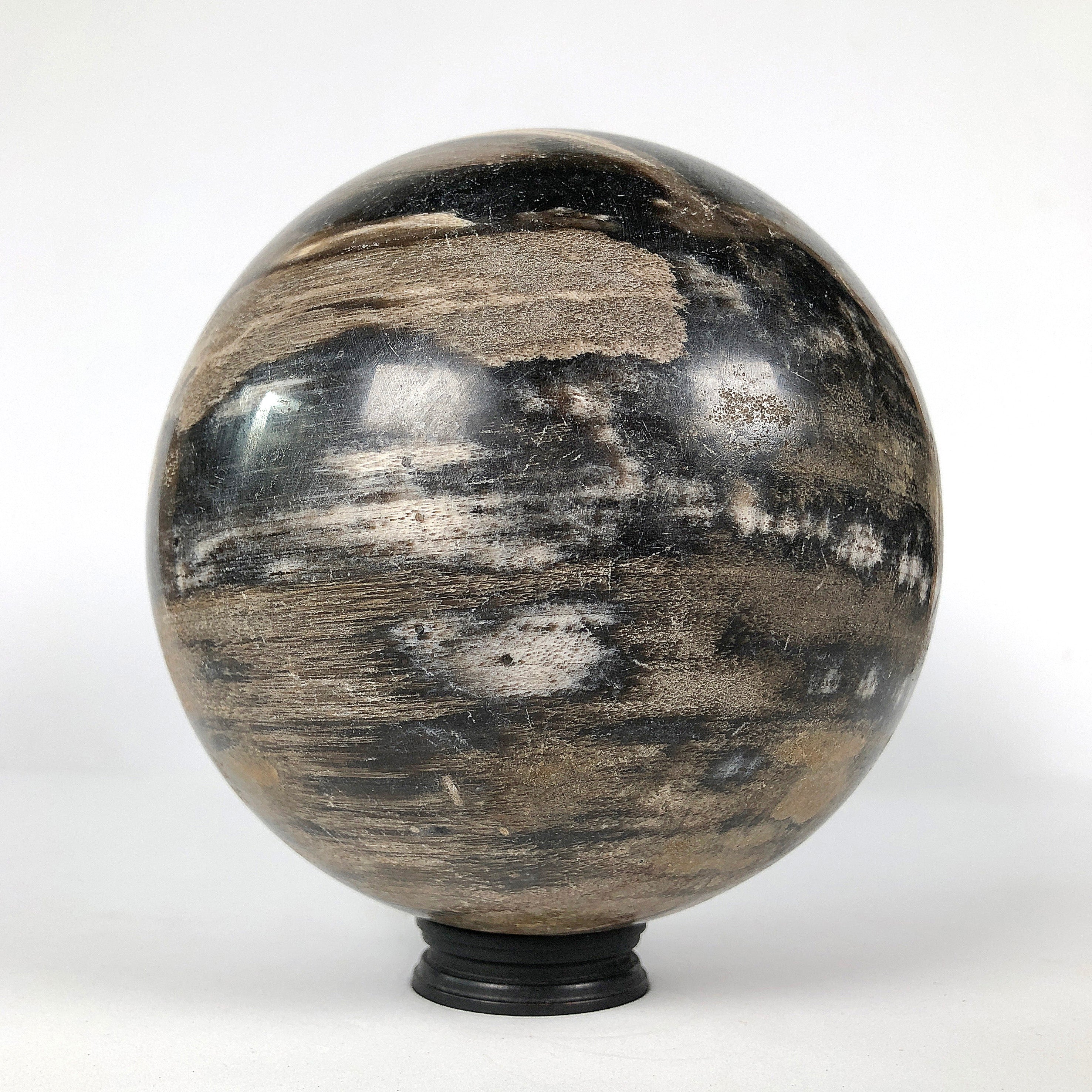 Wonderful Petrified Wood Sphere on a Custom Stand PS 540