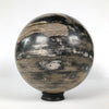 Wonderful Petrified Wood Sphere on a Custom Stand PS 540