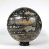 Wonderful Petrified Wood Sphere on a Custom Stand PS 540