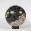 Wonderful Petrified Wood Sphere on a Custom Stand PS 537