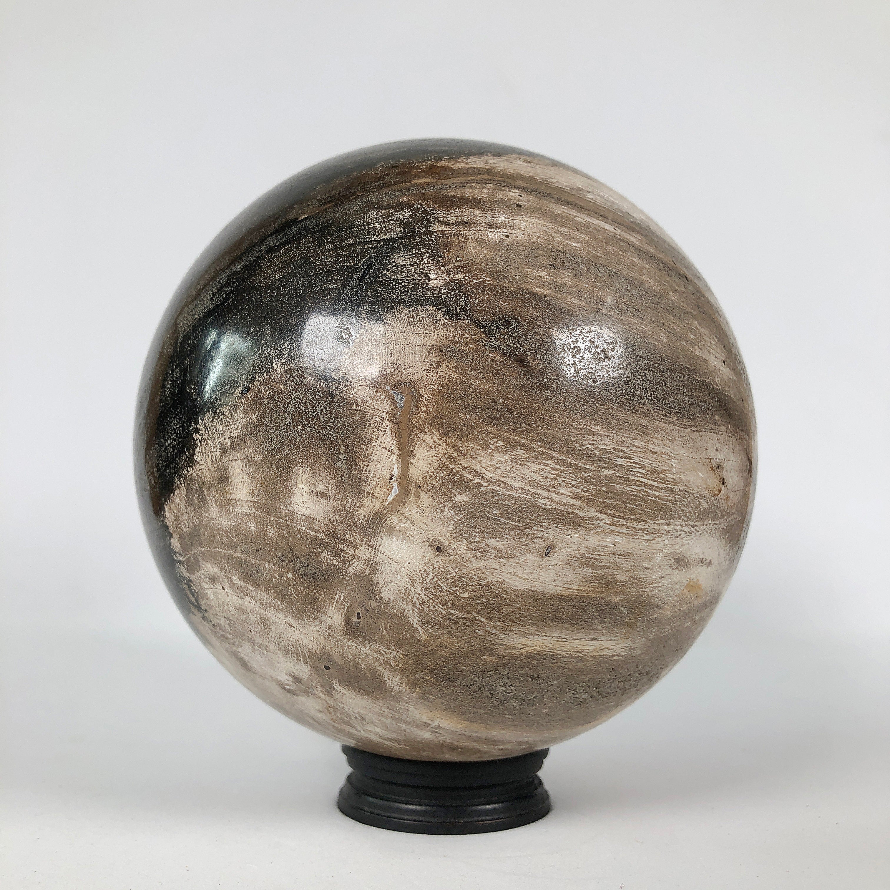 Wonderful Petrified Wood Sphere on a Custom Stand PS 537