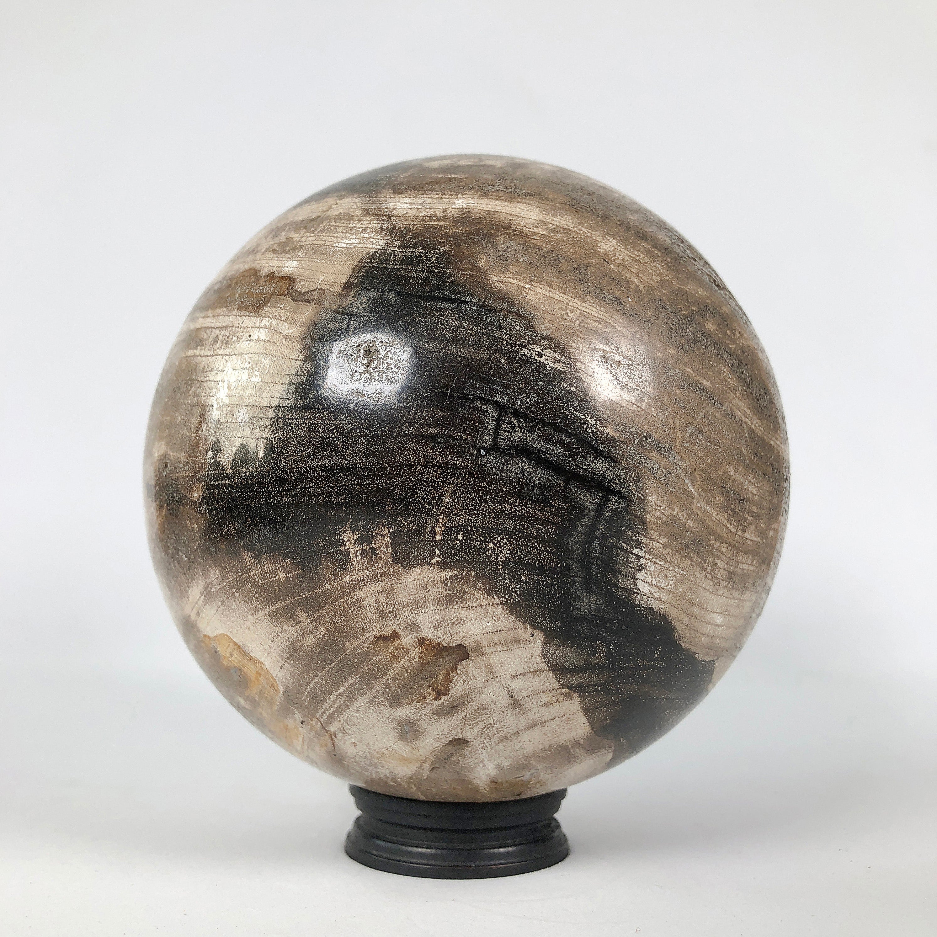 Wonderful Petrified Wood Sphere on a Custom Stand PS 537