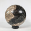 Wonderful Petrified Wood Sphere on a Custom Stand PS 537