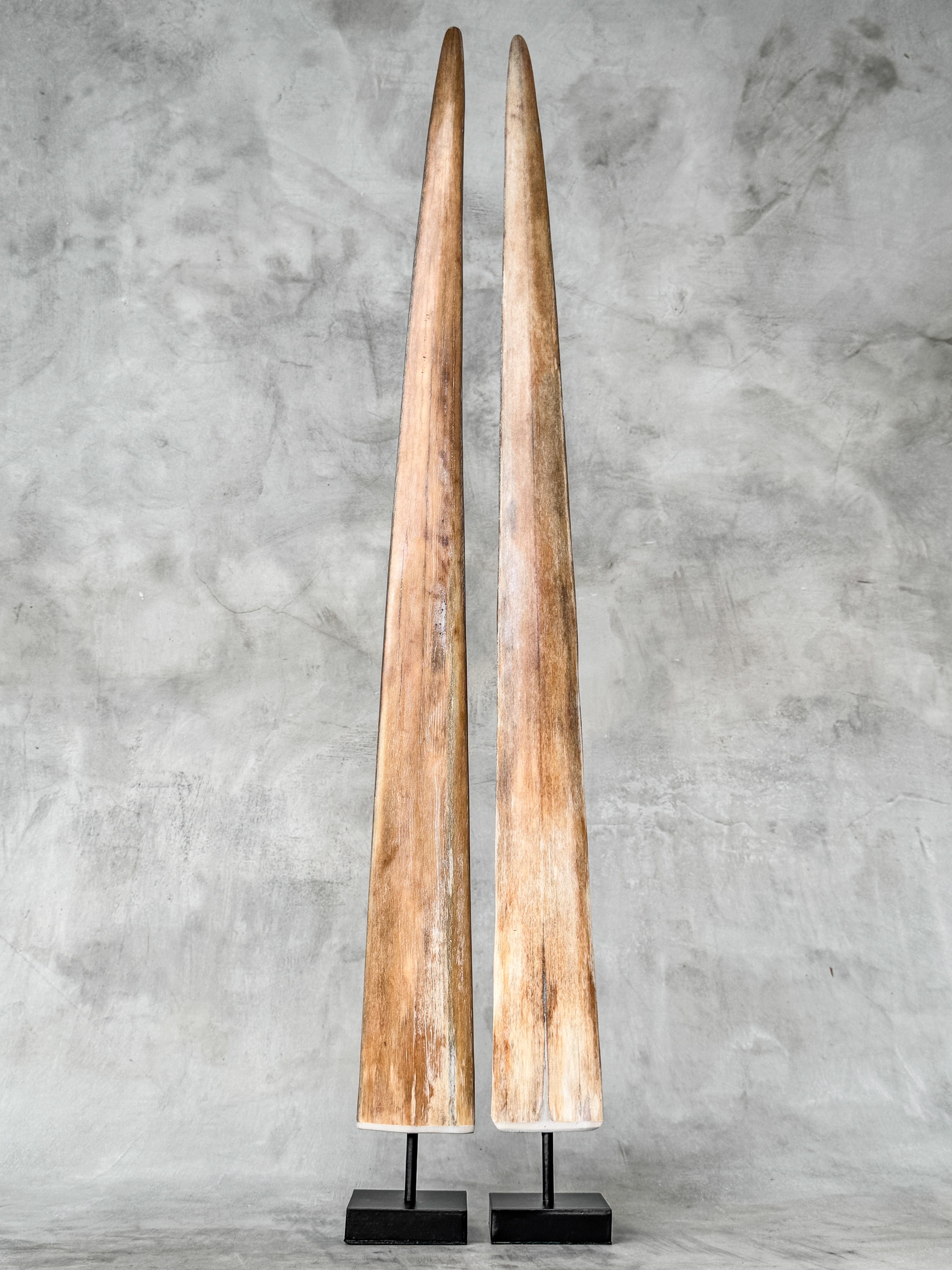 Pair of Natural Tusks on Stand – Rustic Bone Sculpture, Tribal-Inspired Home Accent - Tusk,A/054