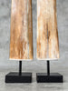 Pair of Natural Tusks on Stand – Rustic Bone Sculpture, Tribal-Inspired Home Accent - Tusk,A/054