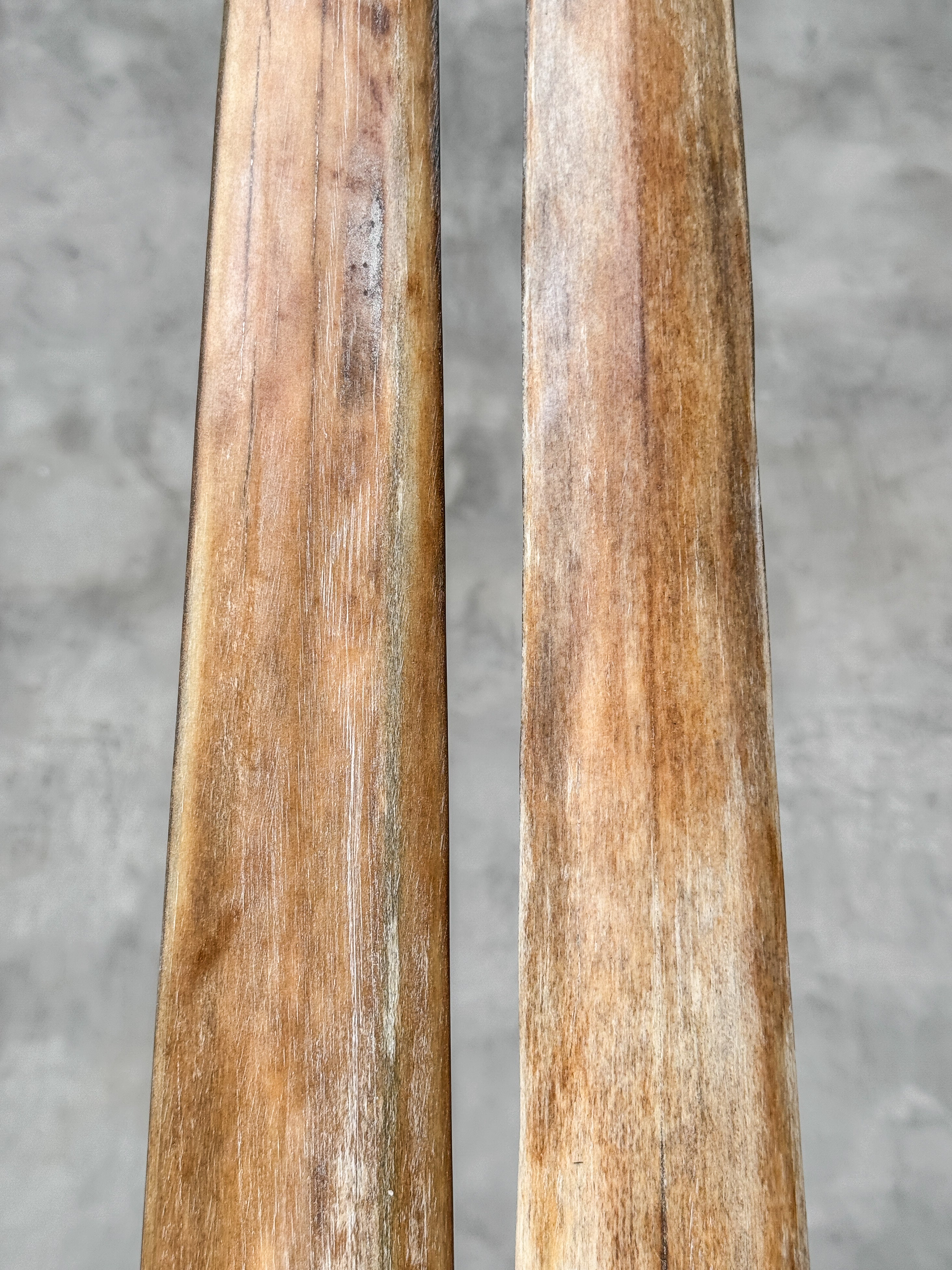 Pair of Natural Tusks on Stand – Rustic Bone Sculpture, Tribal-Inspired Home Accent - Tusk,A/054