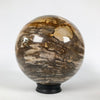 Wonderful Petrified Wood Sphere on a Custom Stand PS 531