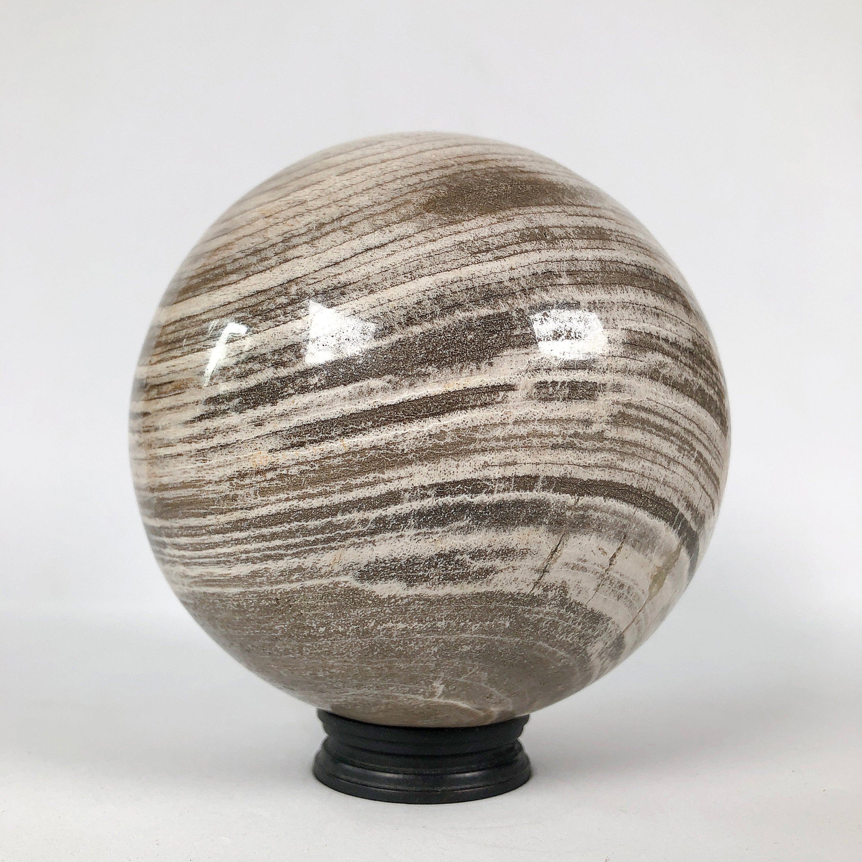 Wonderful Petrified Wood Sphere on a Custom Stand PS 531