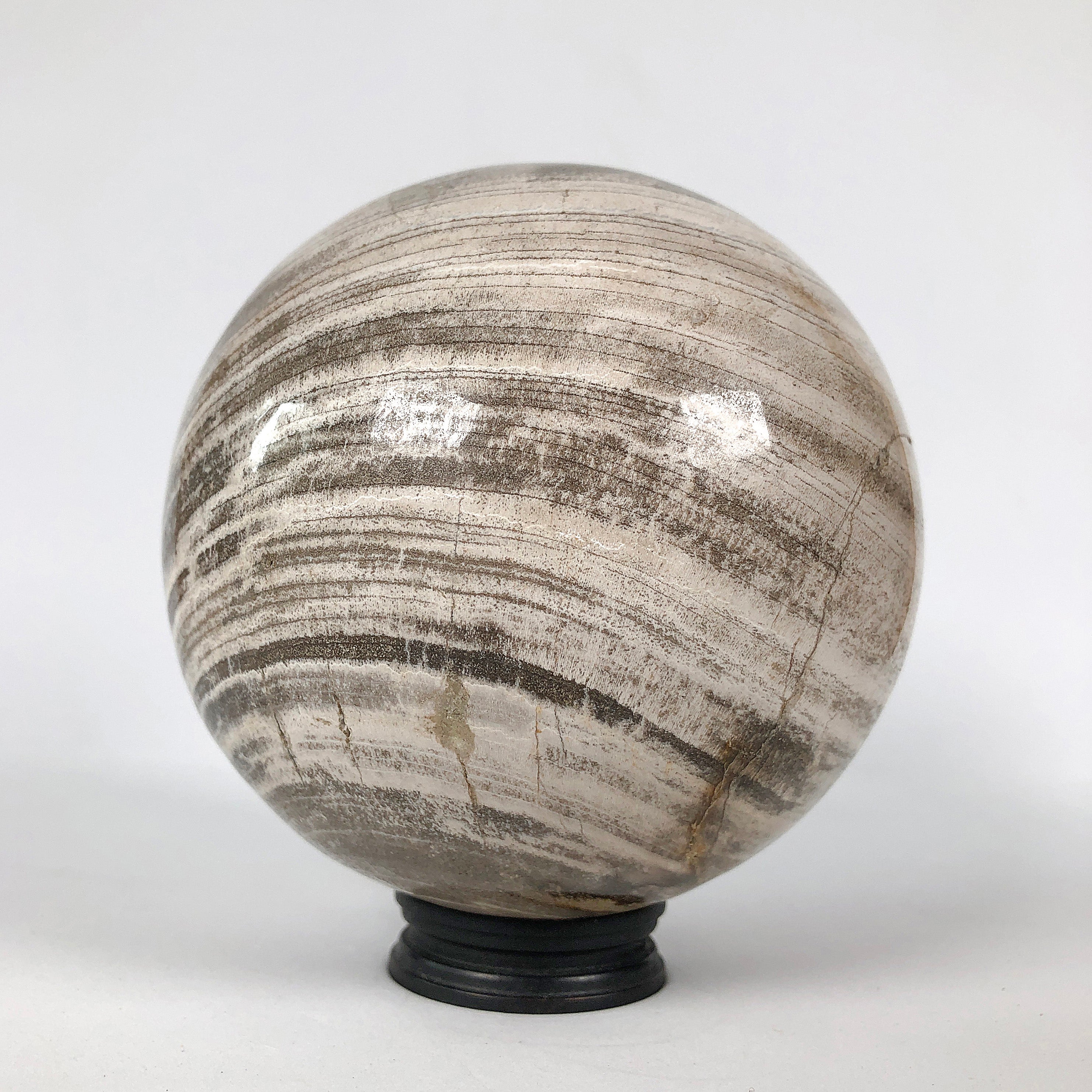 Wonderful Petrified Wood Sphere on a Custom Stand PS 531