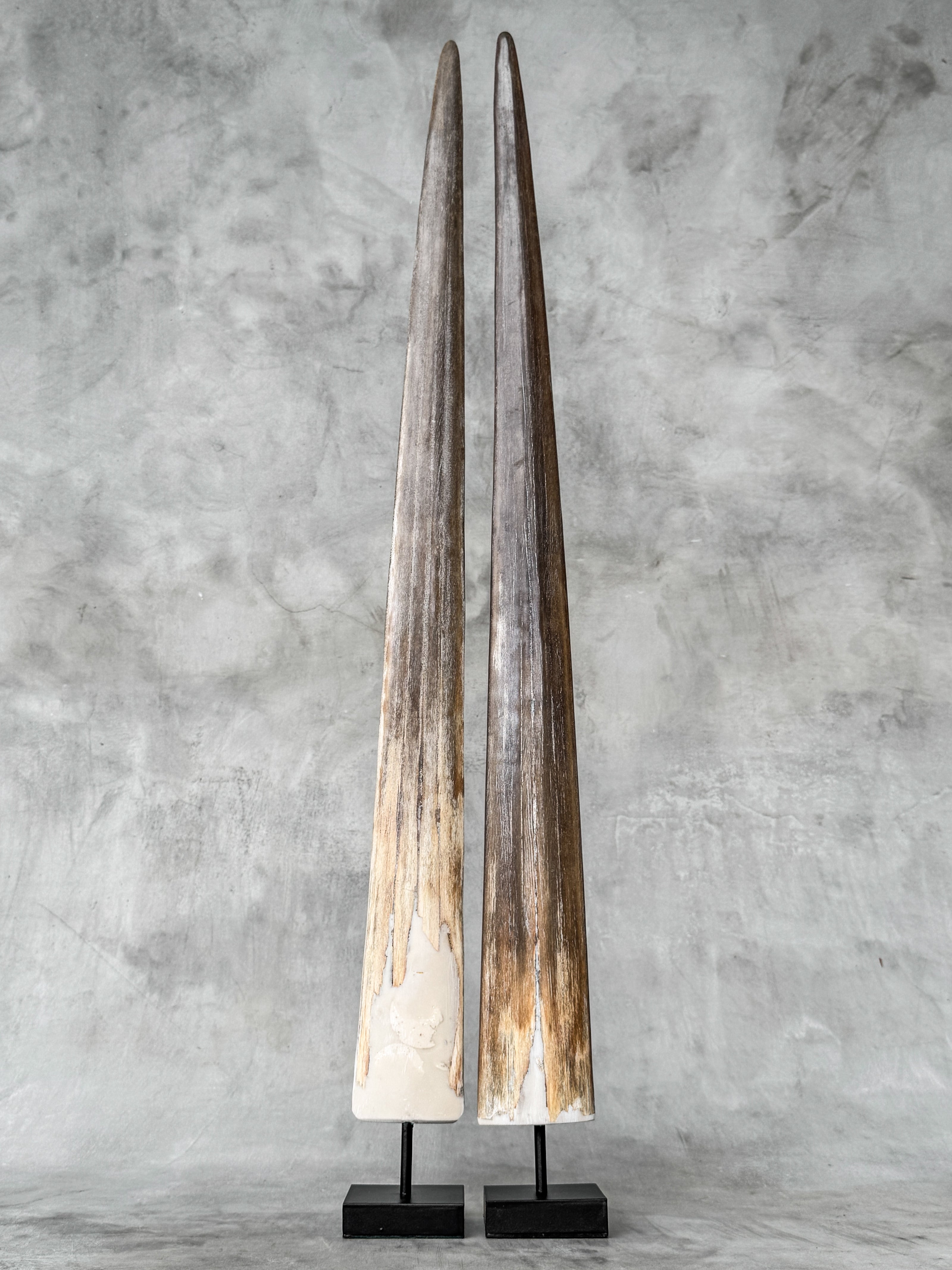 Pair of Natural Tusks on Stand – Rustic Bone Sculpture, Tribal-Inspired Home Accent - Tusk,A/054