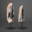 Polished Petrified Wood Freeform on a custom stand PetW/115