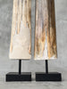 Pair of Natural Tusks on Stand – Rustic Bone Sculpture, Tribal-Inspired Home Accent - Tusk,A/054