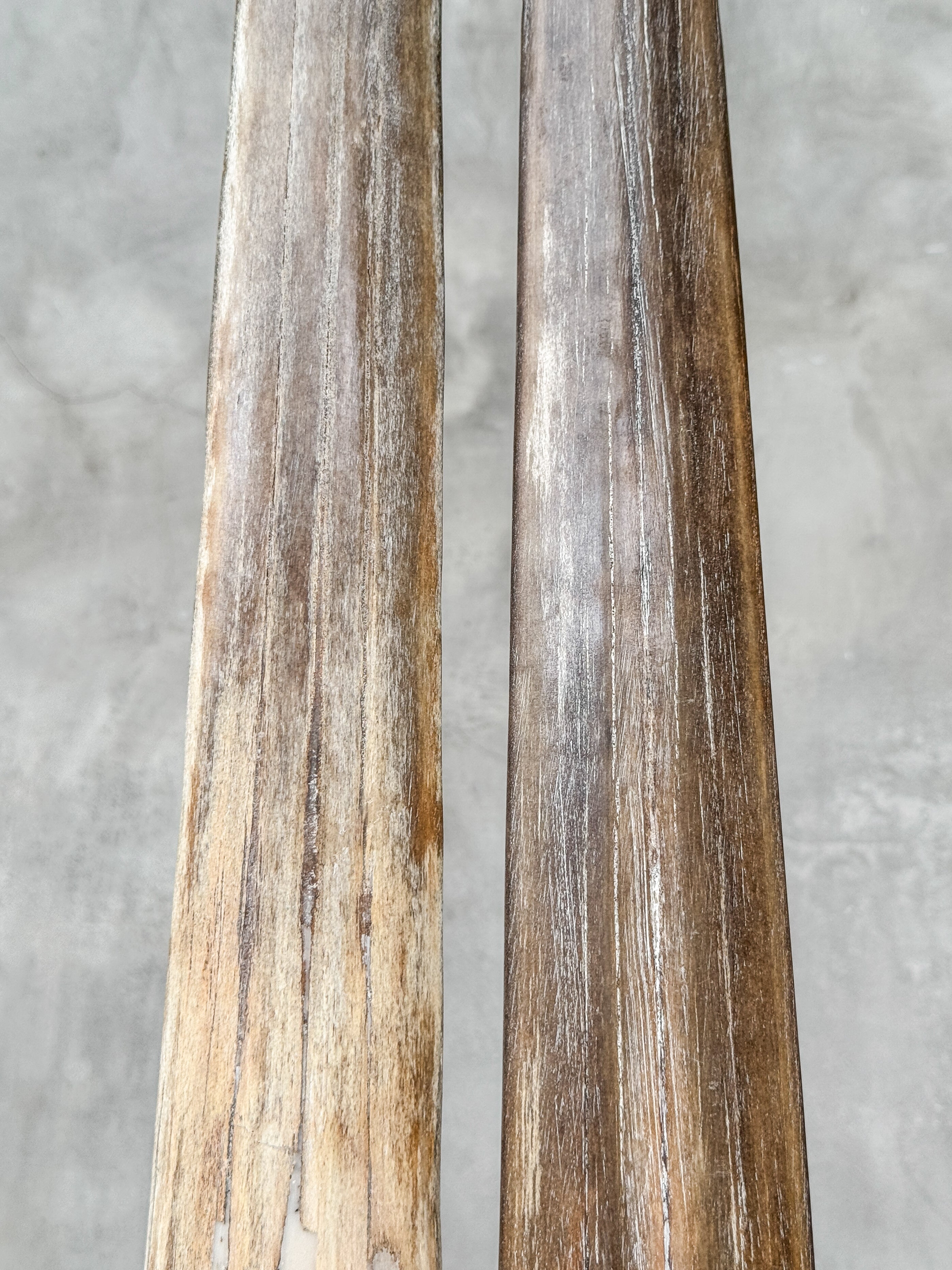 Pair of Natural Tusks on Stand – Rustic Bone Sculpture, Tribal-Inspired Home Accent - Tusk,A/054