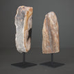 Polished Petrified Wood Freeform on a custom stand PetW/115