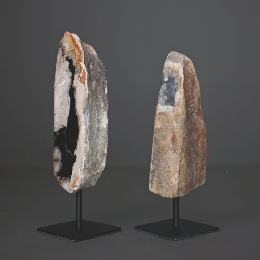 Polished Petrified Wood Freeform on a custom stand PetW/115