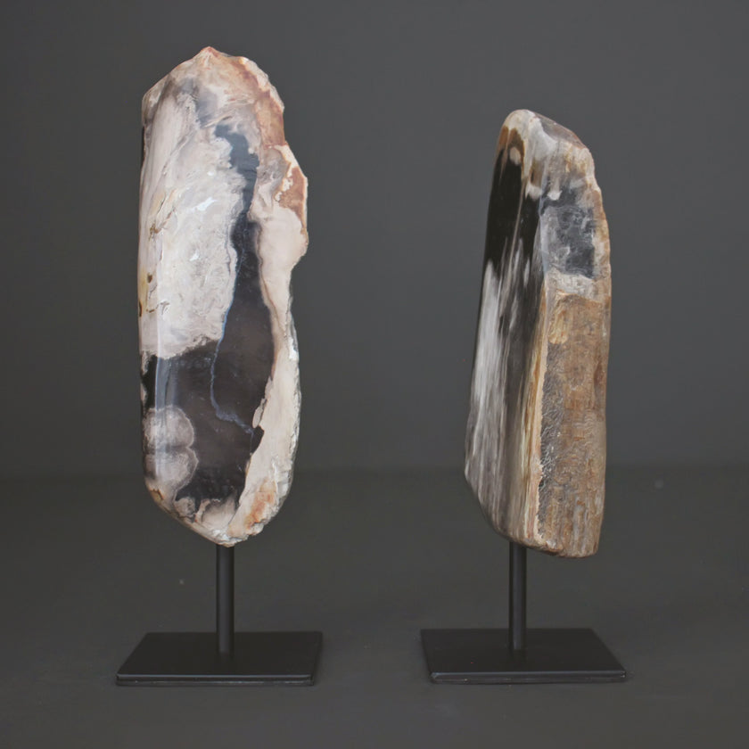 Polished Petrified Wood Freeform on a custom stand PetW/115