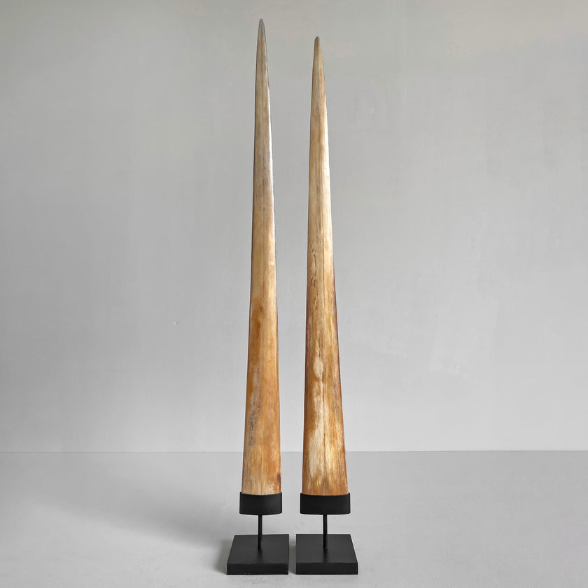 A pair of Tusks on Stand  22/EX/373