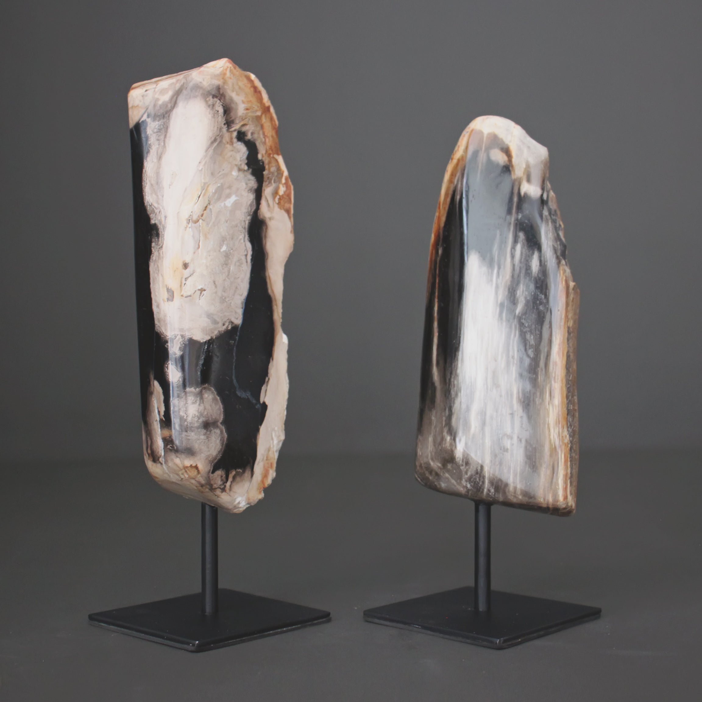 Polished Petrified Wood Freeform on a custom stand PetW/115