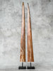 Pair of Natural Tusks on Stand – Rustic Bone Sculpture, Tribal-Inspired Decor, Earthy Accent - Tusk,A/052