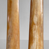 A pair of Tusks on Stand  22/EX/373