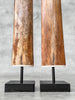 Pair of Natural Tusks on Stand – Rustic Bone Sculpture, Tribal-Inspired Decor, Earthy Accent - Tusk,A/052