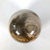 Wonderful Petrified Wood Sphere on a Custom Stand PS 531