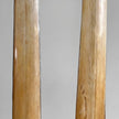 A pair of Tusks on Stand  22/EX/373