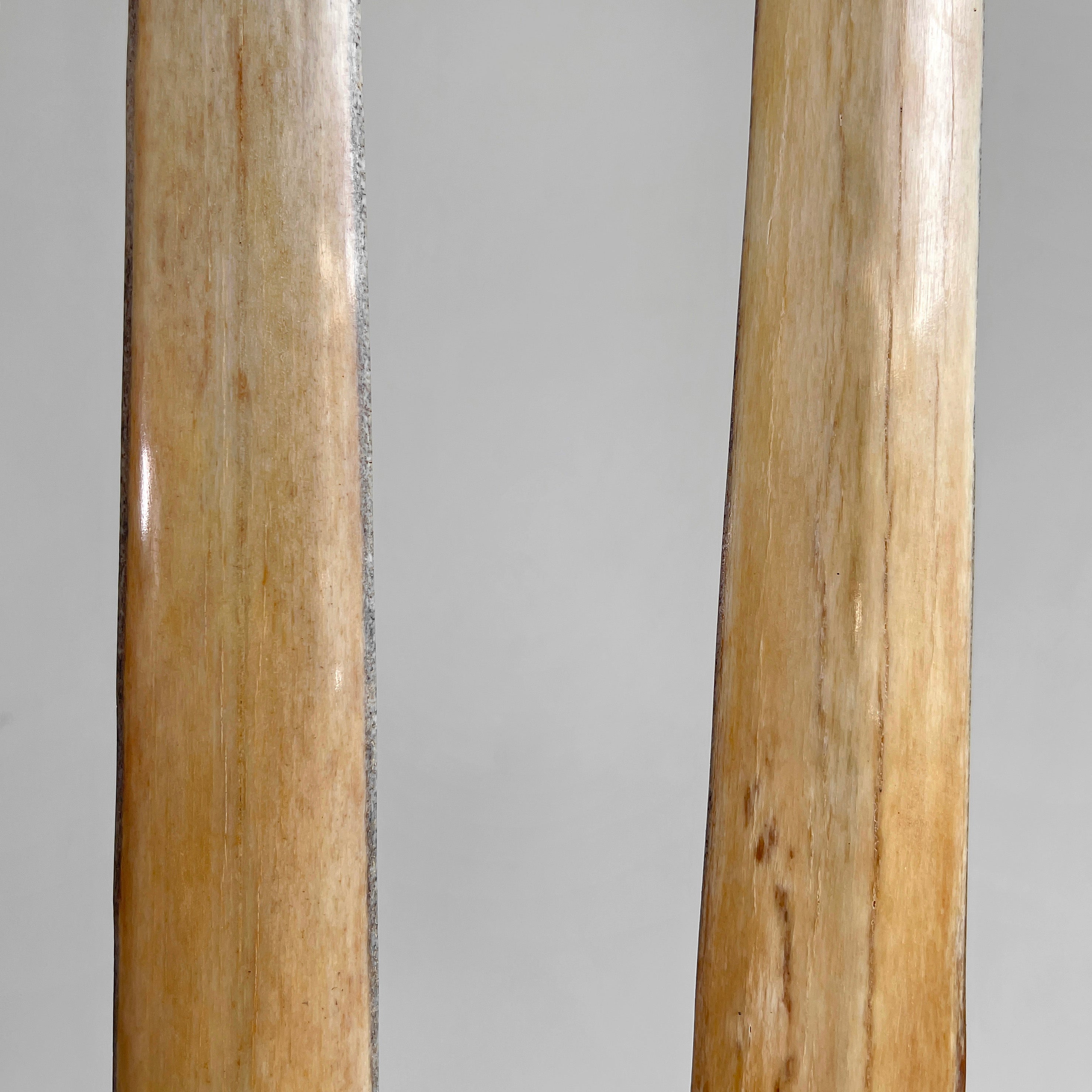 A pair of Tusks on Stand  22/EX/373