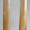 A pair of Tusks on Stand  22/EX/373