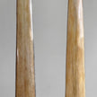 A pair of Tusks on Stand  22/EX/373