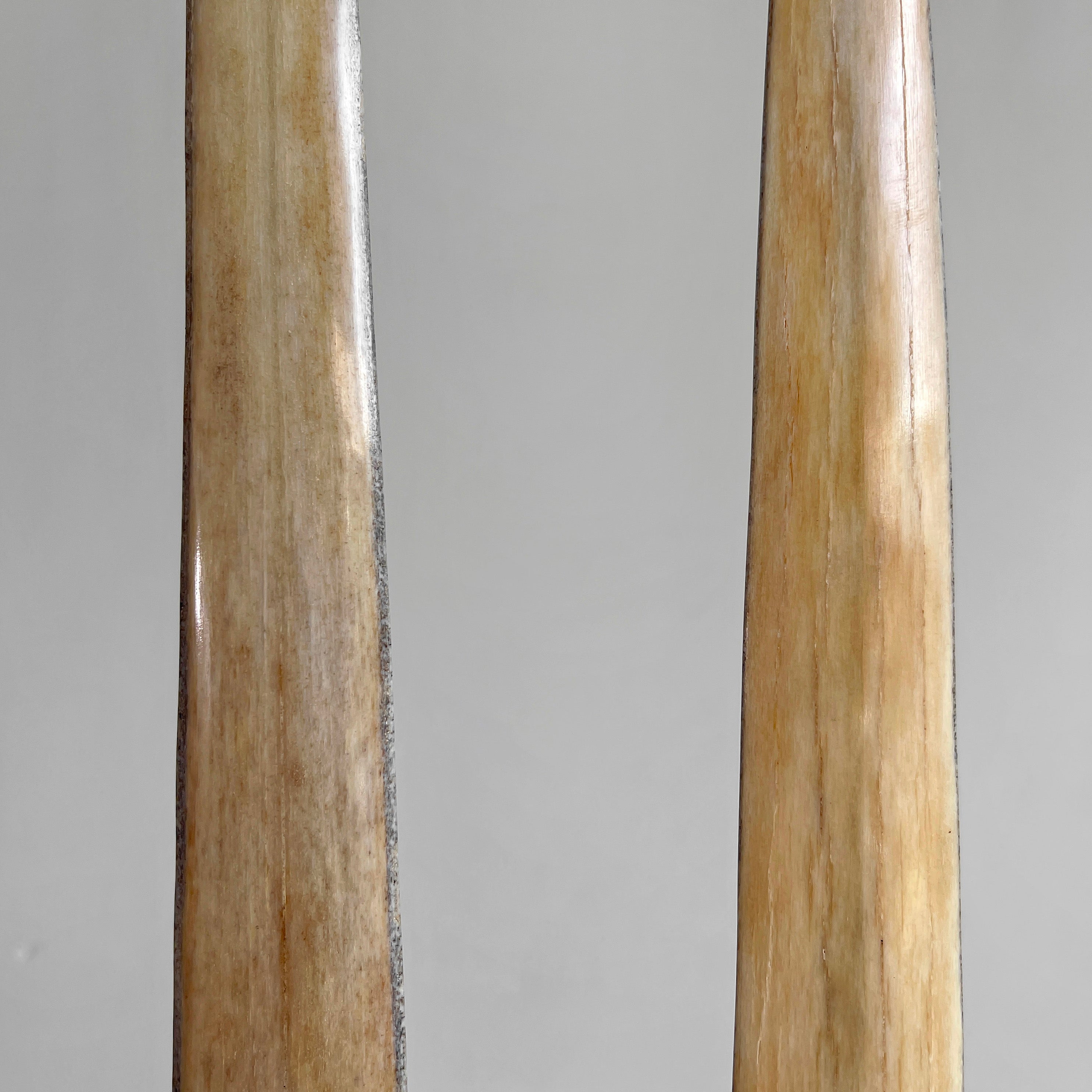 A pair of Tusks on Stand  22/EX/373