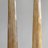 A pair of Tusks on Stand  22/EX/373