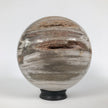 Wonderful Petrified Wood Sphere on a Custom Stand PS 530