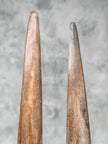 Pair of Natural Tusks on Stand – Rustic Bone Sculpture, Tribal-Inspired Decor, Earthy Accent - Tusk,A/052