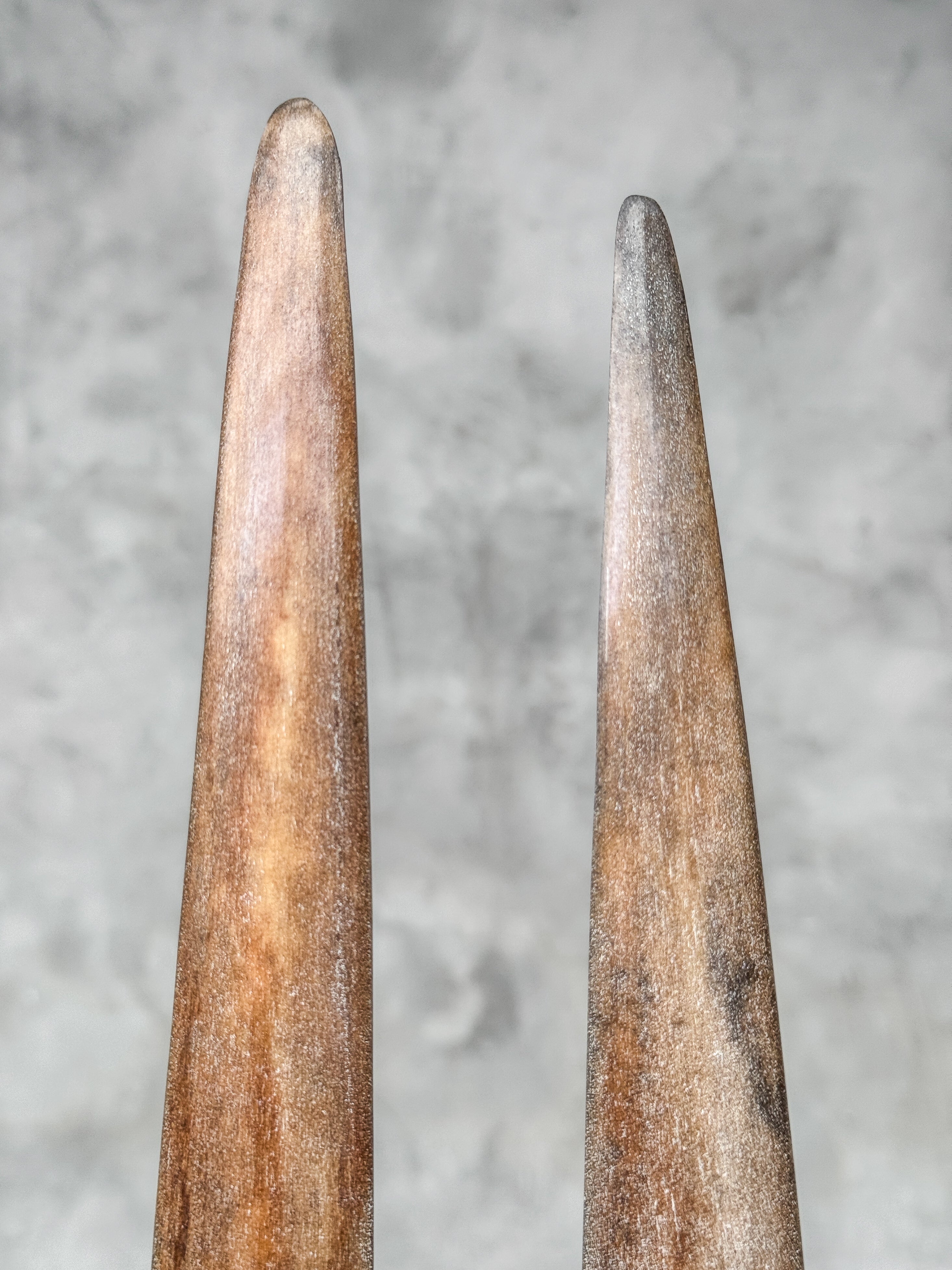 Pair of Natural Tusks on Stand – Rustic Bone Sculpture, Tribal-Inspired Decor, Earthy Accent - Tusk,A/052