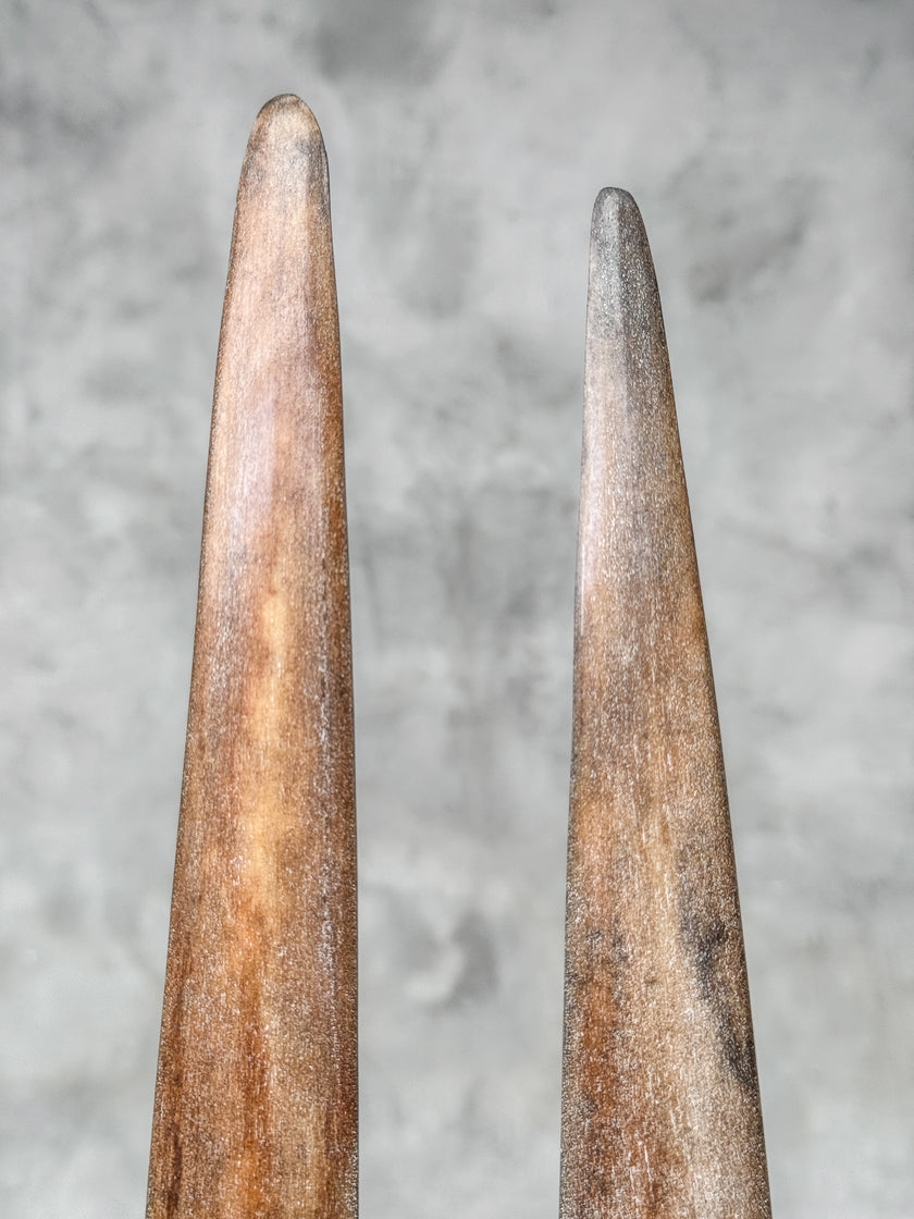 A Pair of Tusks on stand  | Tusk,A/052