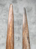 Pair of Natural Tusks on Stand – Rustic Bone Sculpture, Tribal-Inspired Decor, Earthy Accent - Tusk,A/052