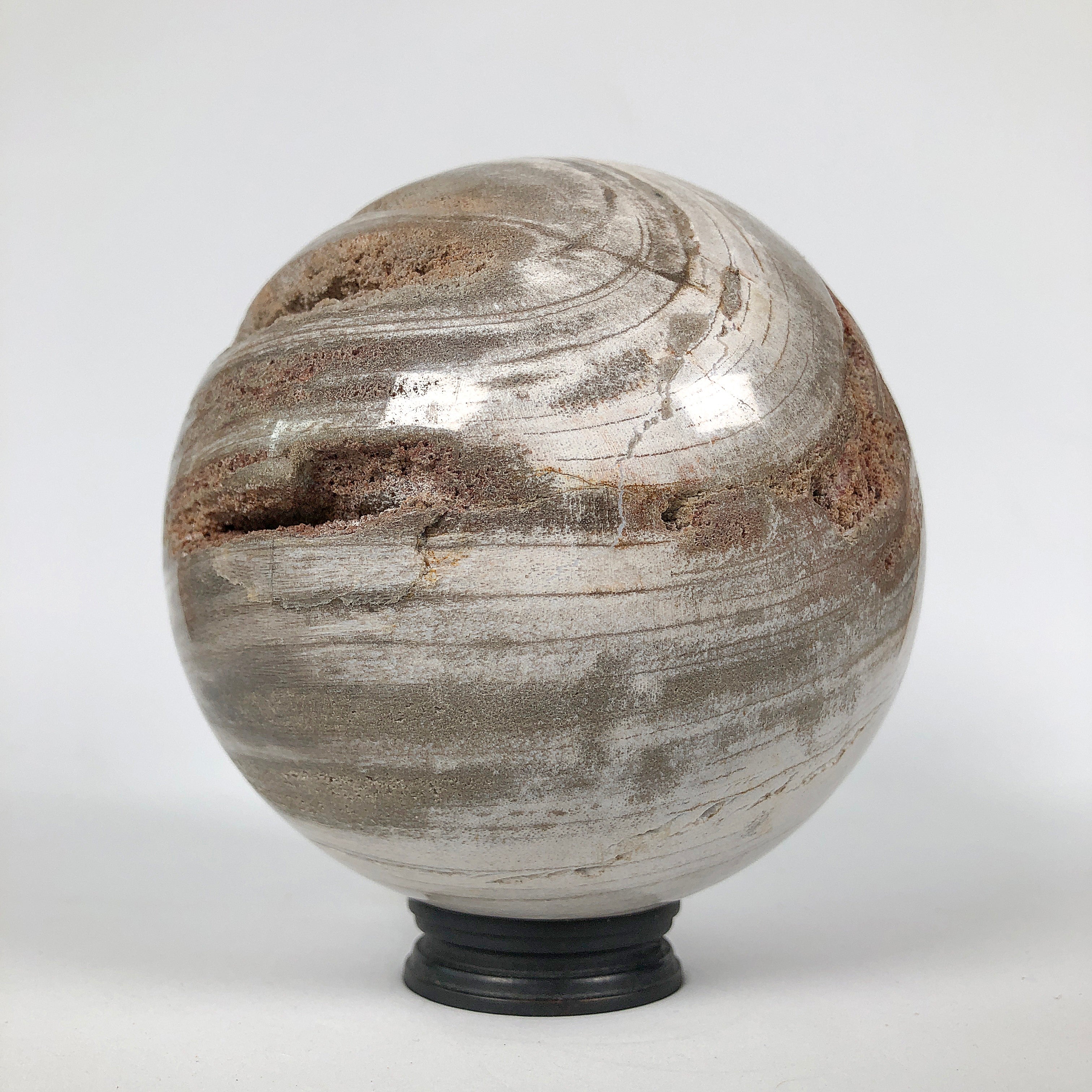 Wonderful Petrified Wood Sphere on a Custom Stand PS 530